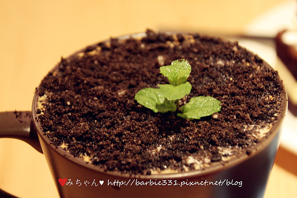 Sam咖啡小館：♥吃吧~台北ღ松山區♥初訪 小店高品質!!超Cute拉花咖啡~好療癒!!☆Sam 咖啡☆ (動物友善、捷運、下午茶)