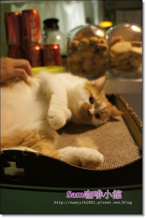 Sam咖啡小館：光輝十月限定版【Sam 咖啡小館】