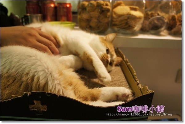 Sam咖啡小館：光輝十月限定版【Sam 咖啡小館】