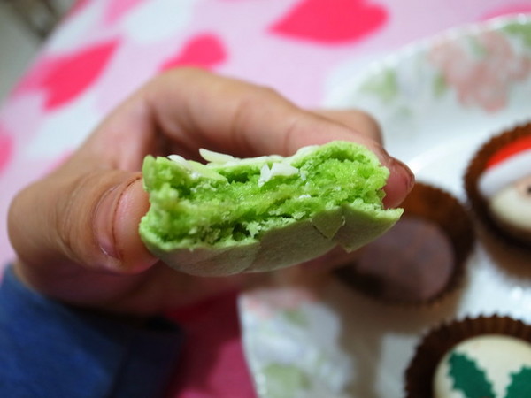 天鵝脖子街:<宅配|試吃>超可愛聖誕馬卡龍#聖誕老人#麋鹿#聖誕紅~天鵝脖子街