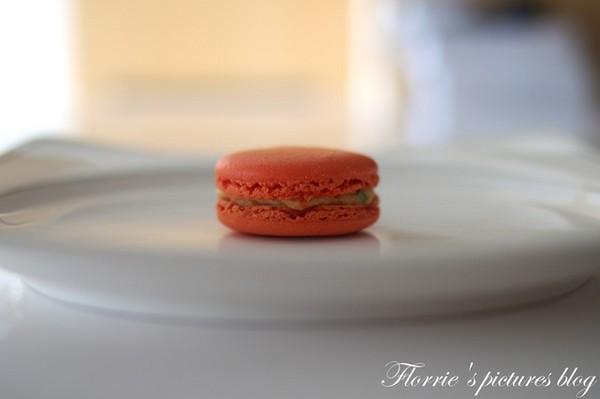 杜樂麗花園 TUILERIES 巧克力/甜點沙龍(SOGO復興館)：邀約~Tuileries杜樂麗花園 巧克力/甜點沙龍~鹹口味馬卡龍，你吃過了嗎？