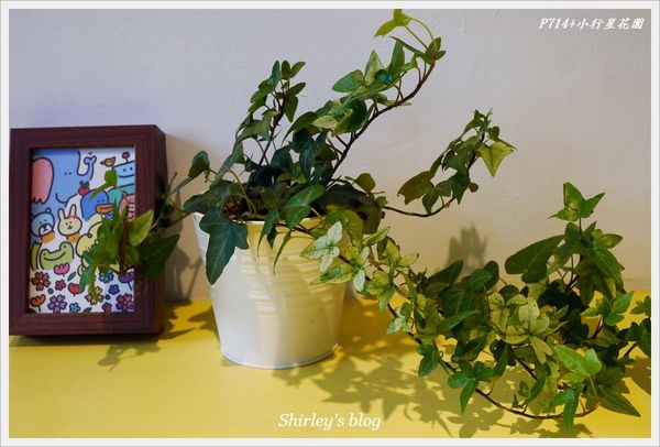 P714+旗艦店：捷運新埔站‧P714+小行星花園