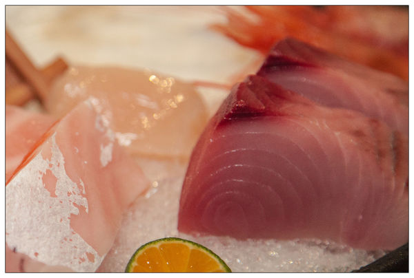 鑫屋日式和食料理