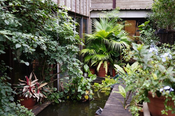 The Villa Herbs restaurant(樂利店):(胖樺食記) 台北市大安區The Villa Herbs restaurant / 樂利店。燈光美氣氛佳的城市清流。