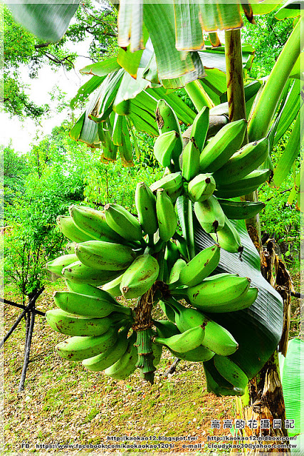一滴水紀念館:【新北】淡水區。一滴水紀念館(和平公園內)