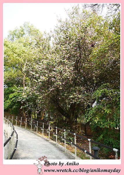 P1030723-20130402-124803