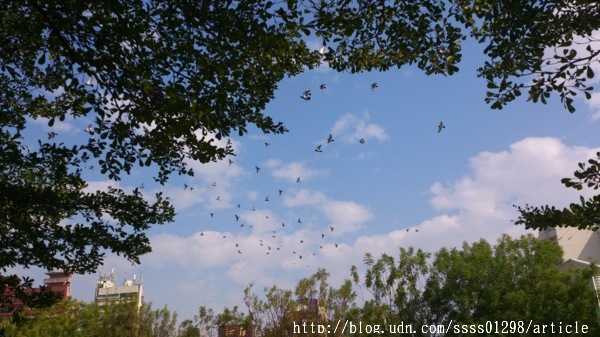 中央公園站：【旅行遊記。高雄前金區】看見都市綠洲，高雄捷運中央公園站日夜拍