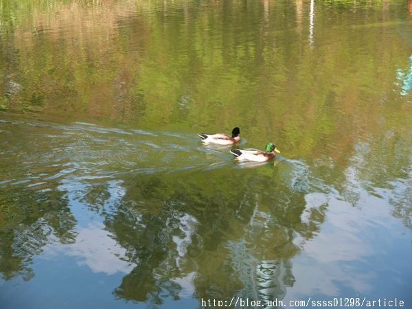 中央公園站：【旅行遊記。高雄前金區】看見都市綠洲，高雄捷運中央公園站日夜拍