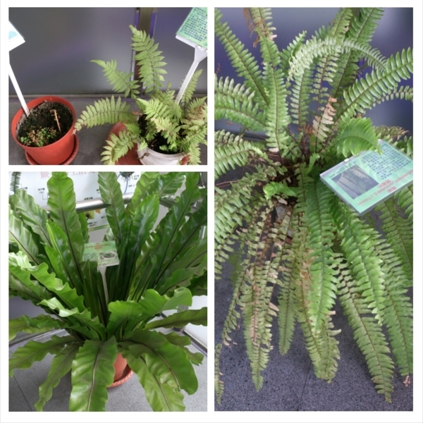 中央公園站：【旅行遊記。高雄前金區】看見都市綠洲，高雄捷運中央公園站日夜拍