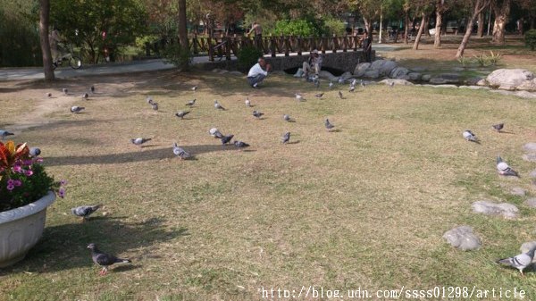 中央公園站：【旅行遊記。高雄前金區】看見都市綠洲，高雄捷運中央公園站日夜拍