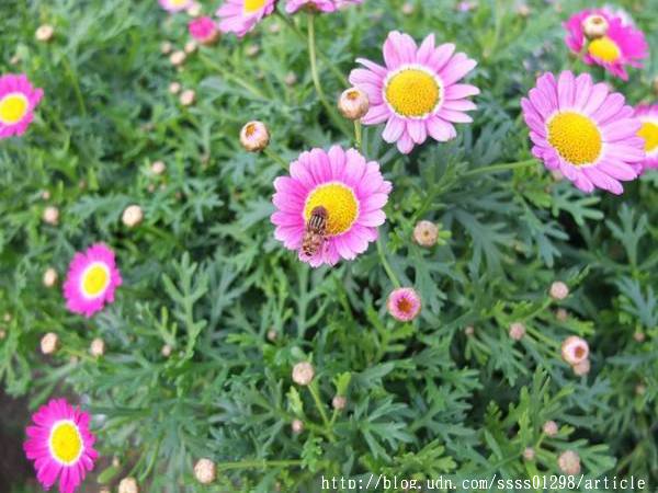 中央公園站：【旅行遊記。高雄前金區】看見都市綠洲，高雄捷運中央公園站日夜拍