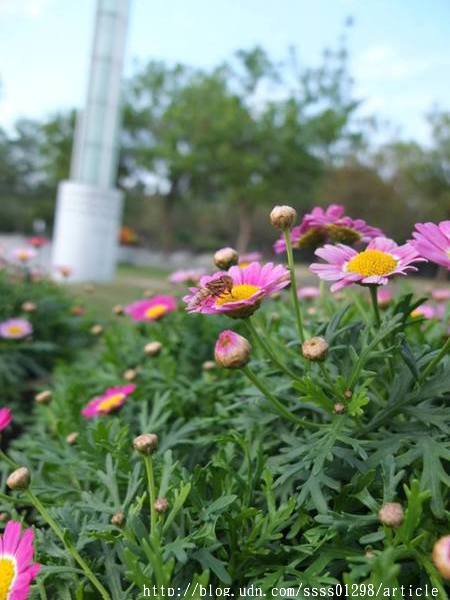 中央公園站：【旅行遊記。高雄前金區】看見都市綠洲，高雄捷運中央公園站日夜拍