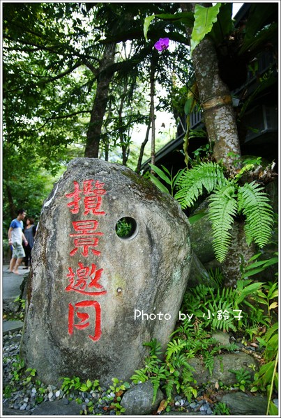 月廬餐廳:漫活花蓮深山美食「月廬」梅子雞