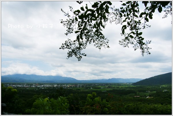 月廬餐廳:漫活花蓮深山美食「月廬」梅子雞