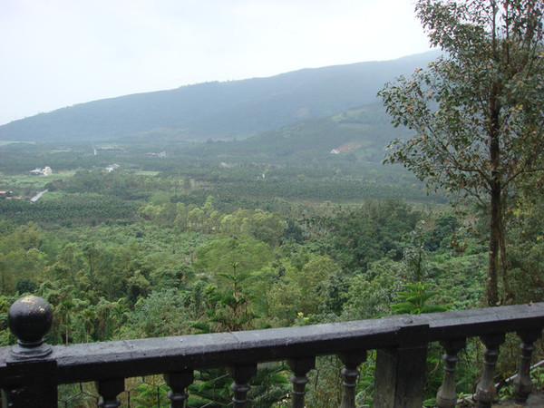 月廬餐廳：花蓮月廬(鳳凰梅園)