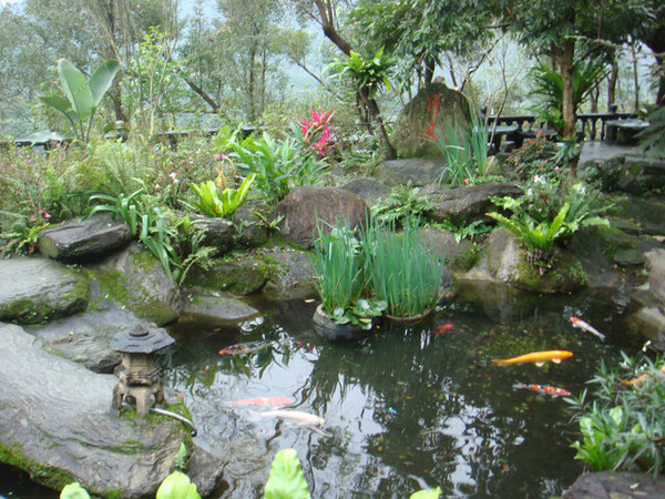 月廬餐廳：花蓮月廬(鳳凰梅園)