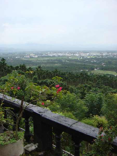 月廬餐廳：花蓮月廬(鳳凰梅園)
