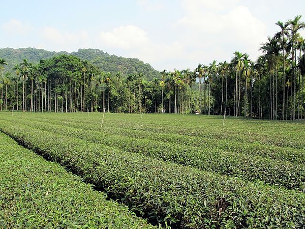 IMG_6475 [640x480].JPG