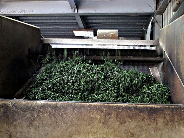 IMG_6563 [640x480].JPG