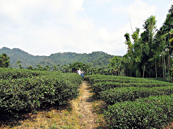 IMG_6508 [640x480].JPG