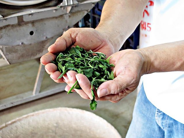 IMG_6532 [640x480].JPG