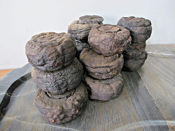 IMG_6612 [640x480].JPG