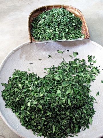 IMG_6524 [640x480].JPG