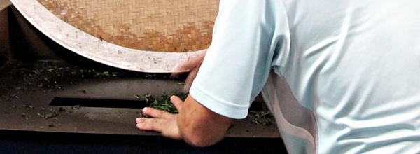 IMG_6550 [640x480].JPG