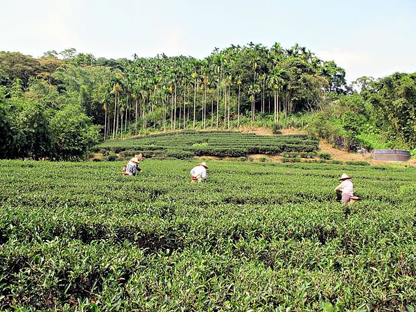 IMG_6476 [640x480].JPG