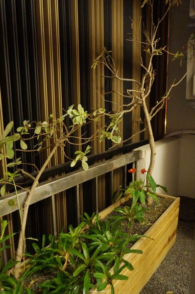 自在安平： [民宿度假趣]台南 安平區 自在安平~森林系老樹屋V.S.芭蕾舞鞋少女心