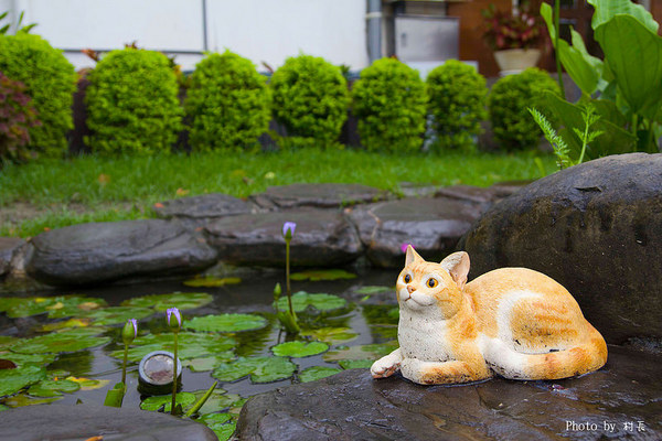 莎露烘焙餐廳:【食記】{屏東。青島街}莎露烘培餐廳