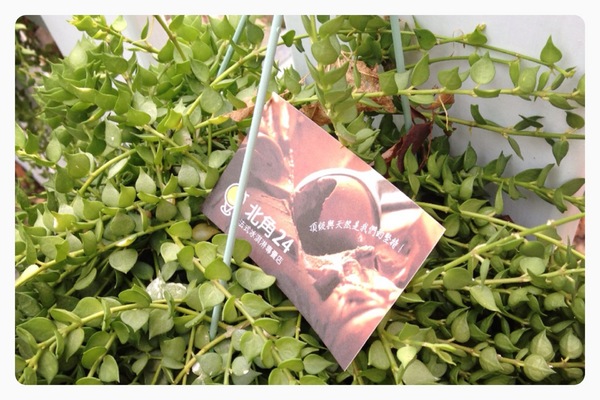 北角24法式冰淇淋專賣:【券】北角24法式冰淇淋專賣店:免費體驗任5種不同口味的法式冰淇淋