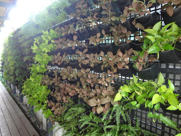 cm20131114___65fe5f8053b6f66a7b0b56aeadf