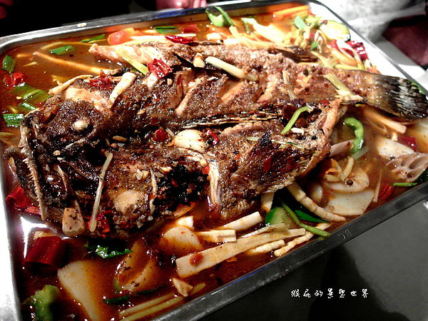 蜀辣川菜烤魚麻辣鍋:【口碑卷70】市民大道上優質鮮烤石斑!蜀辣川味麻辣鍋!