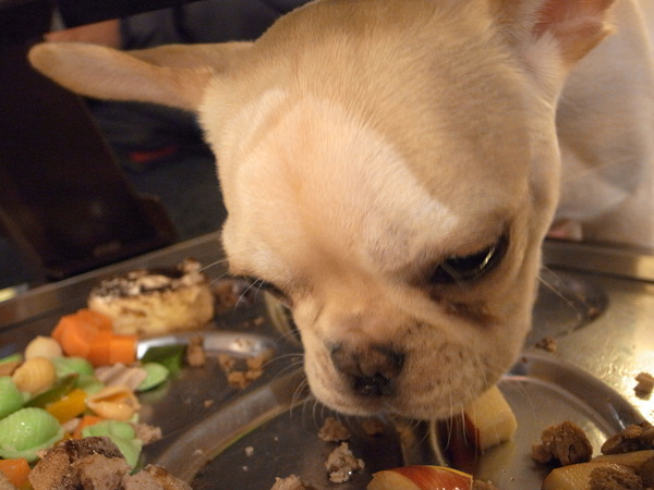 派特芙德寵物餐廳：【團購券】寵物專屬餐廳～想和毛小孩一起用餐嗎？那就來「派特芙德」吧！