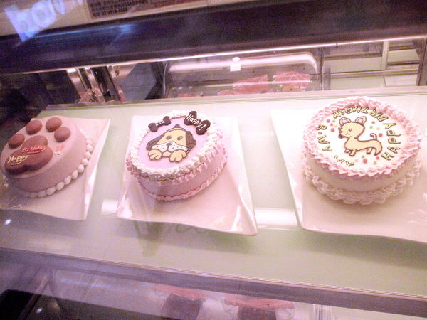 派特芙德寵物餐廳：【團購券】寵物專屬餐廳～想和毛小孩一起用餐嗎？那就來「派特芙德」吧！