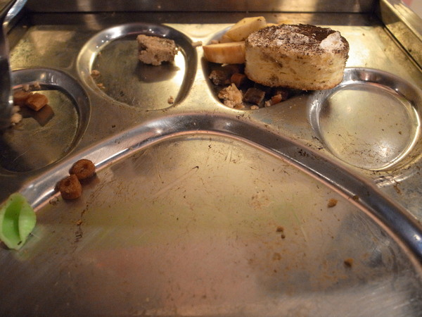 派特芙德寵物餐廳：【團購券】寵物專屬餐廳～想和毛小孩一起用餐嗎？那就來「派特芙德」吧！