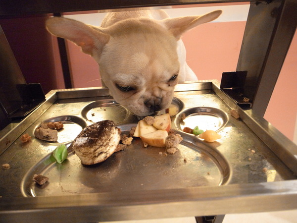 派特芙德寵物餐廳：【團購券】寵物專屬餐廳～想和毛小孩一起用餐嗎？那就來「派特芙德」吧！