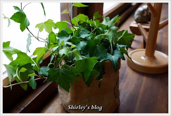 光點珈琲時光(Café Lumiere):光點華山 珈琲時光