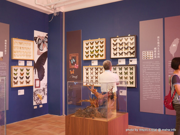 大黑松小倆口 傳統與浪漫的結合-埔里月老教堂:【景點】南投月老教堂.愛情故事館@埔里元首館King Garden : 大黑松小倆口的浪漫,就是終成眷屬? 南投埔里一日遊~景點第一站!