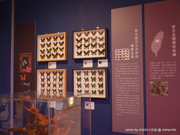 大黑松小倆口 傳統與浪漫的結合-埔里月老教堂:【景點】南投月老教堂.愛情故事館@埔里元首館King Garden : 大黑松小倆口的浪漫,就是終成眷屬? 南投埔里一日遊~景點第一站!