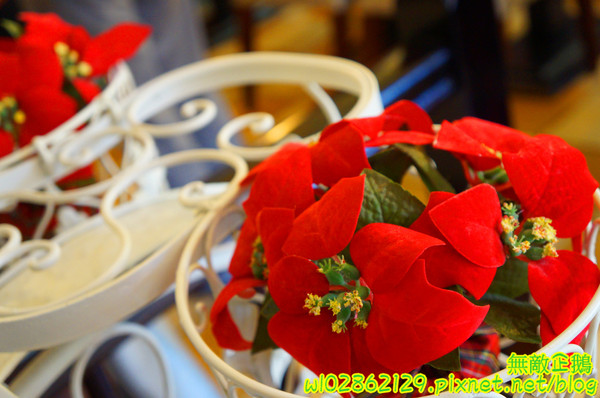 MissBanana巴娜娜的早午茶趣:【台南-中西區】小巷裡的春天...巧遇可愛歪國人...薄餅/免服務費《MissBanana巴娜娜的早午茶趣》