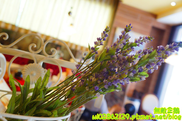 MissBanana巴娜娜的早午茶趣:【台南-中西區】小巷裡的春天...巧遇可愛歪國人...薄餅/免服務費《MissBanana巴娜娜的早午茶趣》