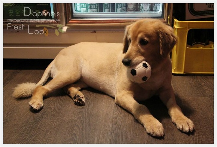  photo IMG_7749_zps1cc54562.jpg