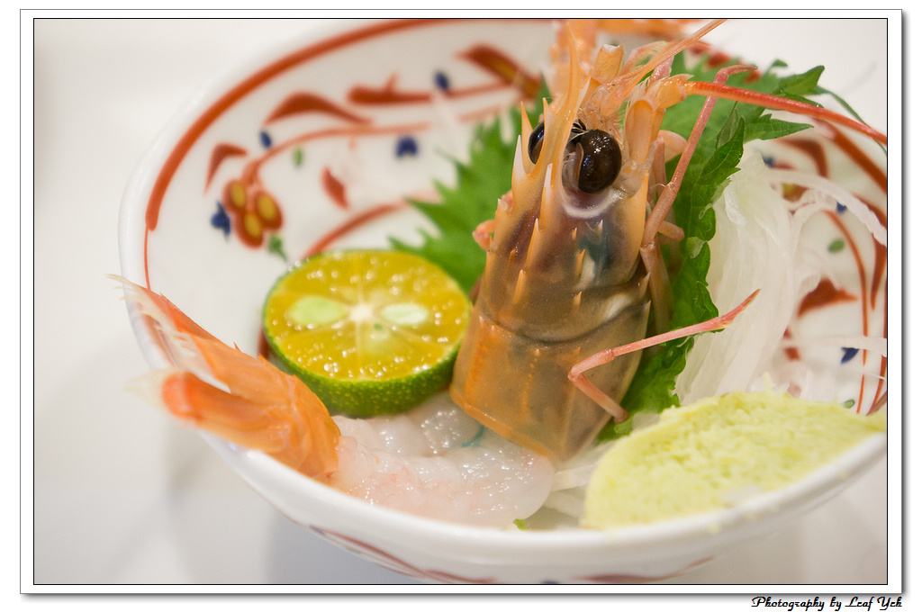 葉影瓶像版權所有