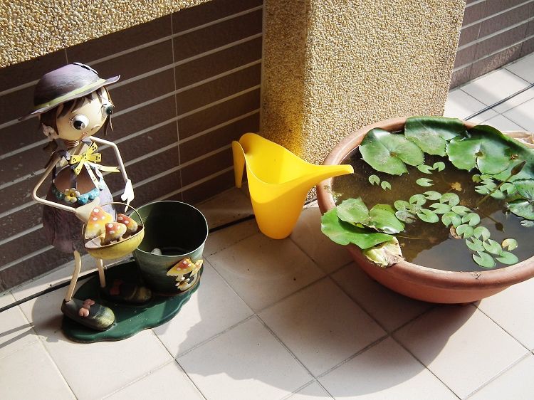 DSCF5458 - 複製_nEO_IMG.jpg