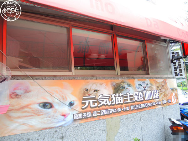 元氣貓主題餐廳:呷飽祙【台北士林・元氣貓主題咖啡】貓奴必衝