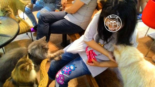 元氣貓主題餐廳:呷飽祙【台北士林・元氣貓主題咖啡】貓奴必衝