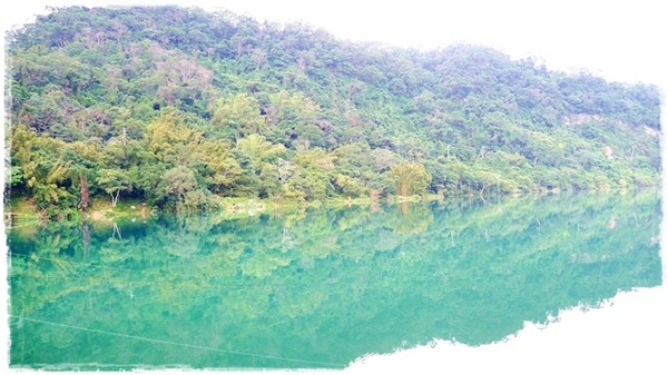 濛濛湖:【新北◍•ᴗ•◍新店】景點・濛濛湖、廣興河濱公園✯賞桐、賞螢秘境|昔日戀愛聖地遺留下的絕美景色