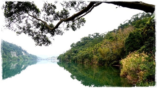 濛濛湖:【新北◍•ᴗ•◍新店】景點・濛濛湖、廣興河濱公園✯賞桐、賞螢秘境|昔日戀愛聖地遺留下的絕美景色